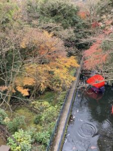 彫刻の森美術館_池