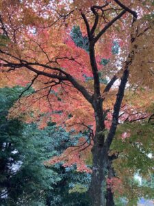 箱根美術館